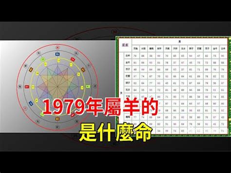 1979年屬什麼|【1979屬什麼】1979屬什麼？五行怎麼看？速配對象是誰？